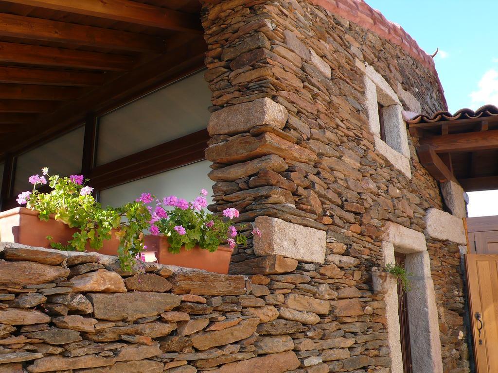 Atenor Casa Da Ti Cura 게스트하우스 외부 사진